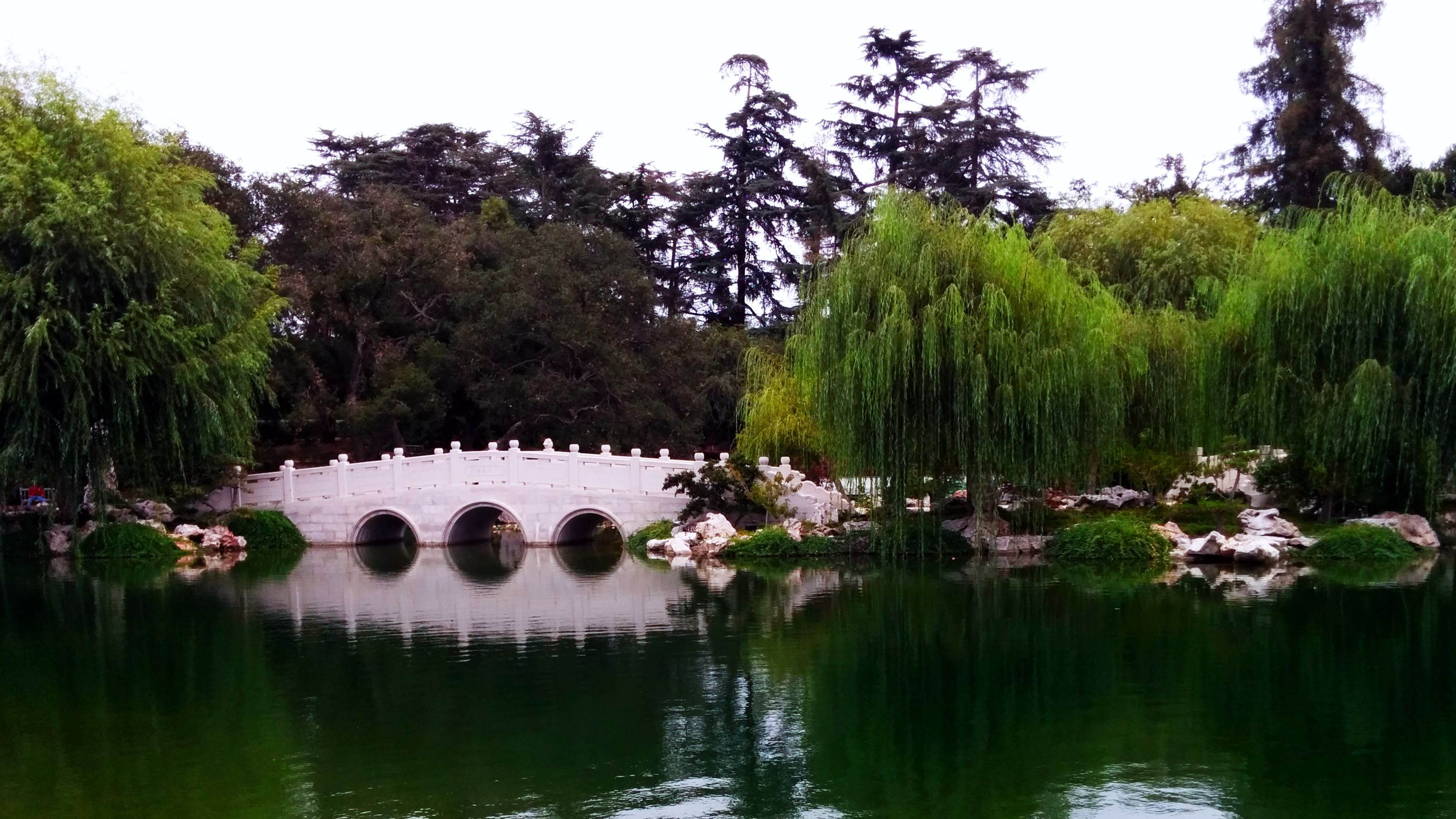 An ornate white bridge with three arches spans a calm lake, framed by overhanging willows, at Huntington Botanical Gardens, reflecting Chinese architecture amid lush greenery.